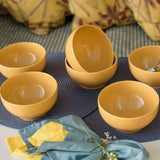 Actual 6 Piece Dinner Soup Bowl Set